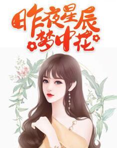 昨夜星辰夢(mèng)中花封面