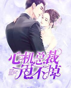 先婚后愛：總裁日久生情封面