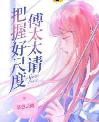 許傾城傅靖霆全文封面