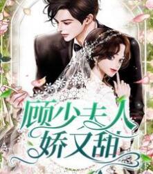 夏梔予顧泠西封面