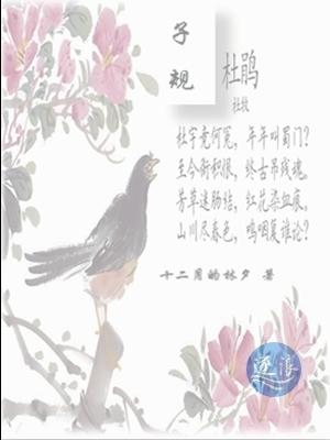 慕安安宗政御完結版封面