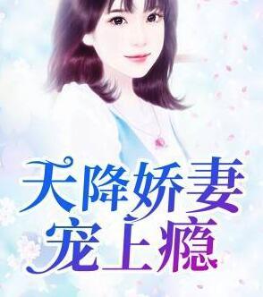 天降嬌妻寵上癮封面