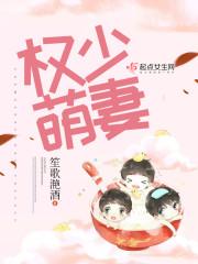 夏安然季慕安小說(shuō)封面