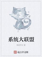 系統(tǒng)大聯(lián)盟封面