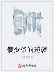 傻少爺?shù)哪嬉u封面