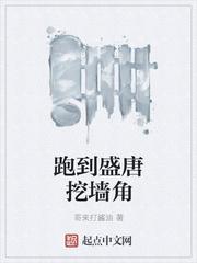 跑到盛唐挖墻角封面