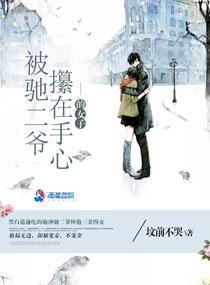 紀(jì)鹿陸燃小說封面