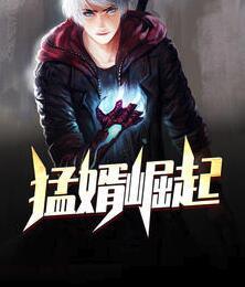 韓楓蘇迎雪封面