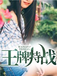 葉新林清雪小說封面