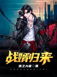 戰(zhàn)婿歸來封面