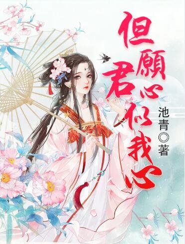 但愿君心似我心封面