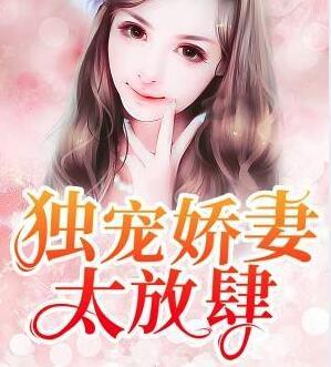 獨(dú)寵嬌妻太放肆封面