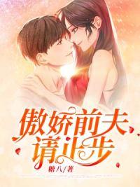 傲嬌前夫請止步封面