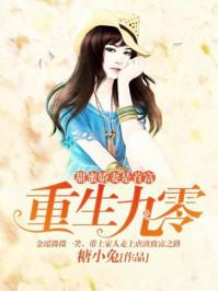 夏殊悅季安沉封面