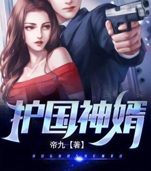護(hù)國神婿封面