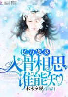 云懷月裴晏封面