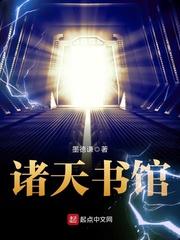 沈楠舒顧時易封面