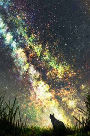 阮景和路南辭的小說(shuō)免費(fèi)閱讀封面