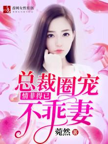 沈南星陸安離封面