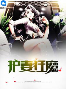 護(hù)妻狂魔任清風(fēng)柳清瑤封面