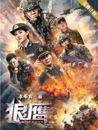 秦岳張振華封面