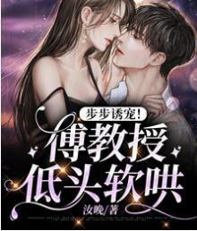 誘他稱臣txt小說閱讀封面