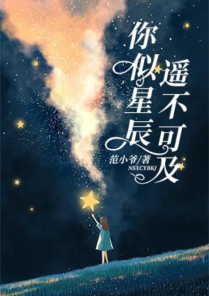 你似星辰遙不可及封面