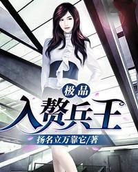 葉沁心陸渡小說(shuō)封面