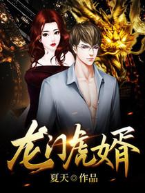 龍門虎婿陳青川蘇雪封面