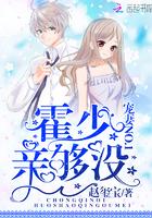 沈先生的溺光偏愛封面