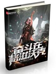 奮斗在格滋沃克封面