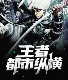王者都市縱橫封面