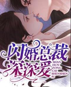 陸知舟林微微小說封面