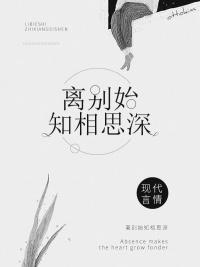 沈時硯鹿溪無彈窗封面