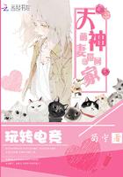 路德秋小說封面