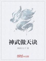 璇葉洛宸小說(shuō)封面
