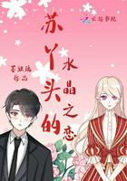 江煦蘇錦小說封面