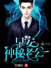 言情小說(shuō)盛翎傅北霆封面