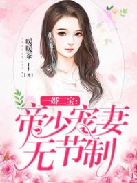 一婚二寶:帝少寵妻無節(jié)制封面