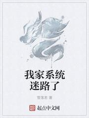 我家系統(tǒng)迷路了封面