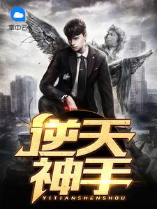 逆天神手封面