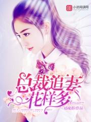 陸白飛校園文封面