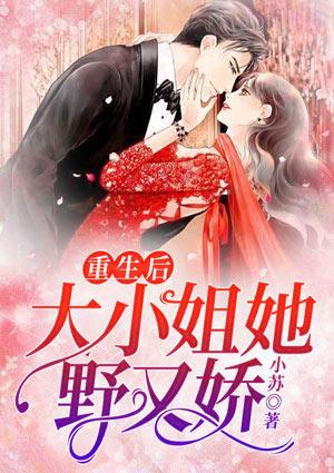 霍宴西陸眠眠的小說封面