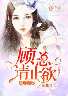 陳霄齊楚瑤封面