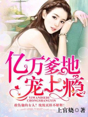 岑煙陸妄全集封面