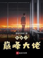 科技之巔峰大佬封面