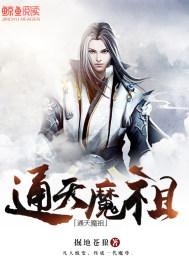 陳念初江莎都市小說(shuō)封面