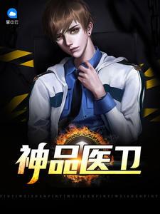 神品醫(yī)衛(wèi)李鋒沐滄瀾封面