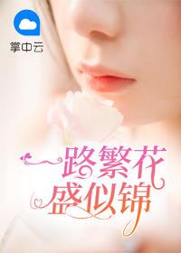 一路繁花盛似錦封面