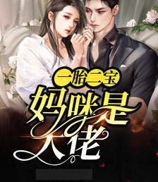 一胎二寶：媽咪是大佬封面